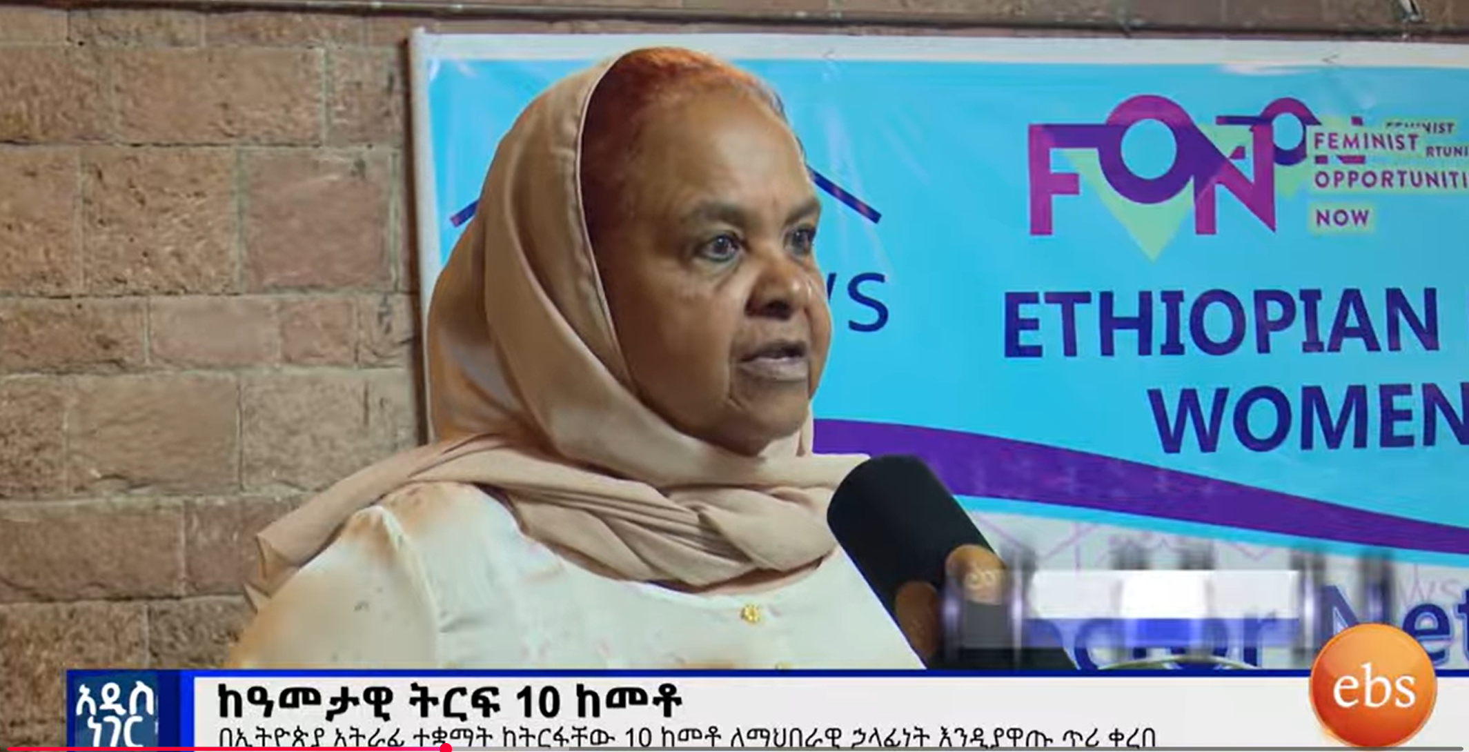 🎥 EBS TV Features the Ethiopian Network of Women Shelters (ENWS)!